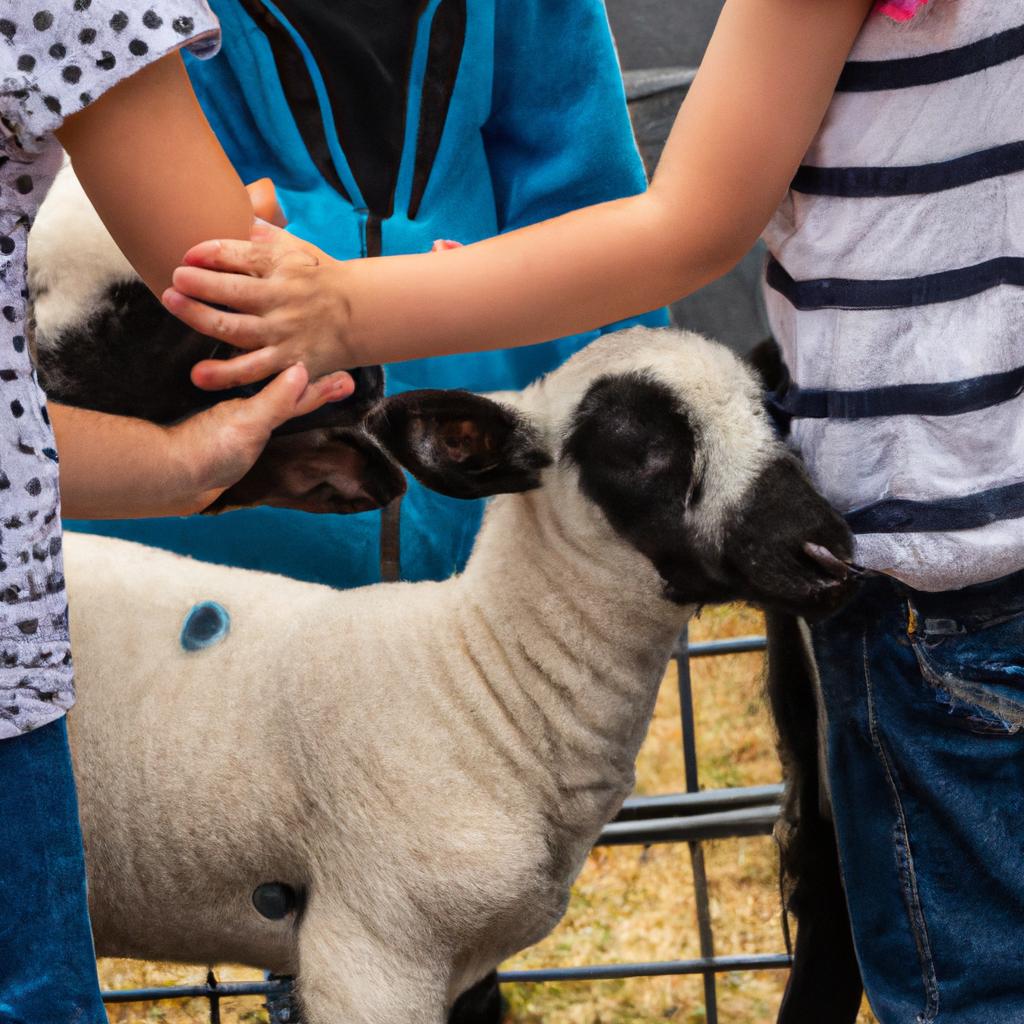 The festival provides educational activities for children to learn about sheep and wool