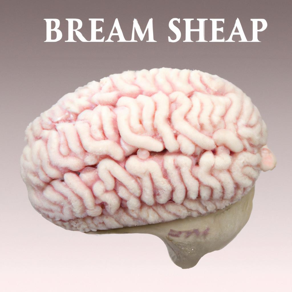 Using labeled diagrams of sheep brain as a teaching tool in schools and universities
