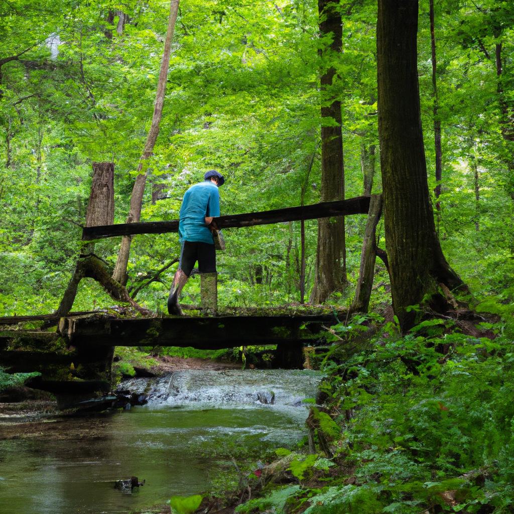 The trail offers picturesque views of streams and bridges