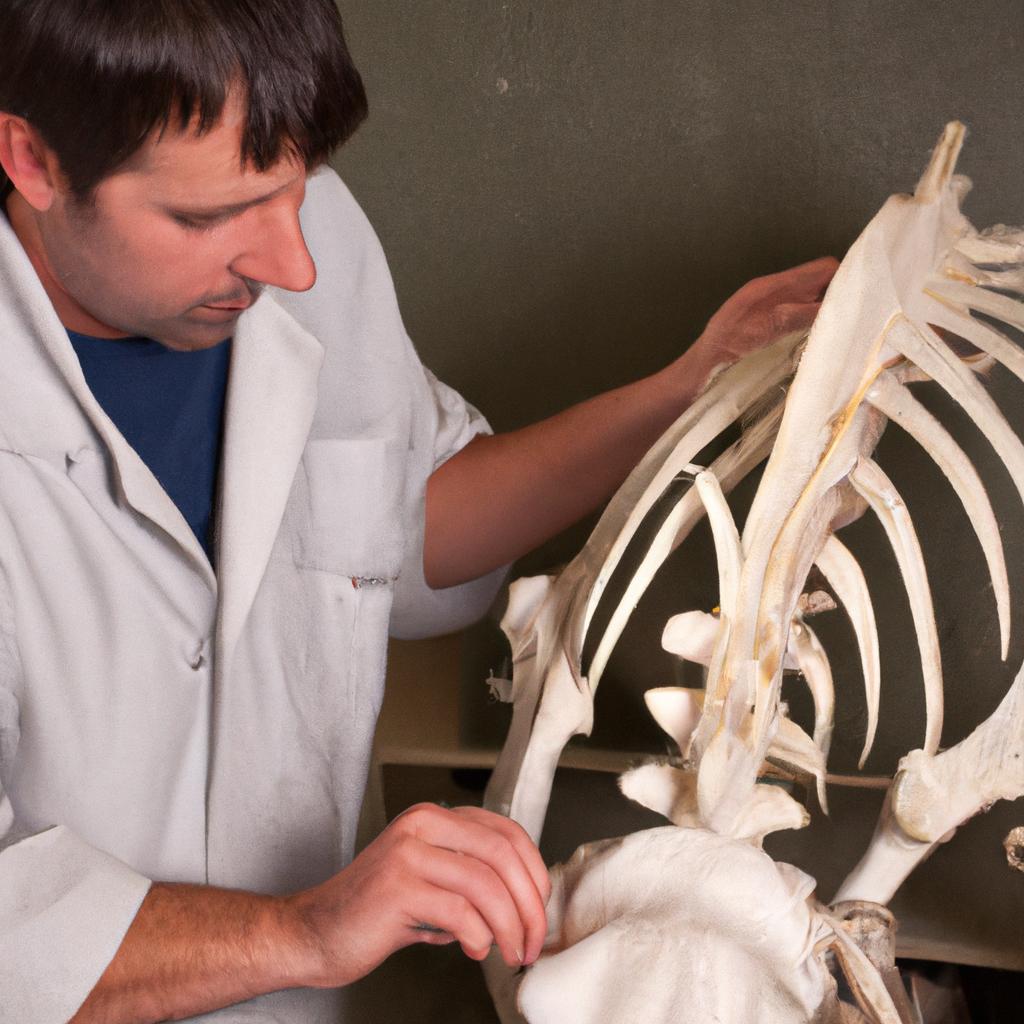 Proper care and attention to a sheep's skeleton can prevent disease and injury